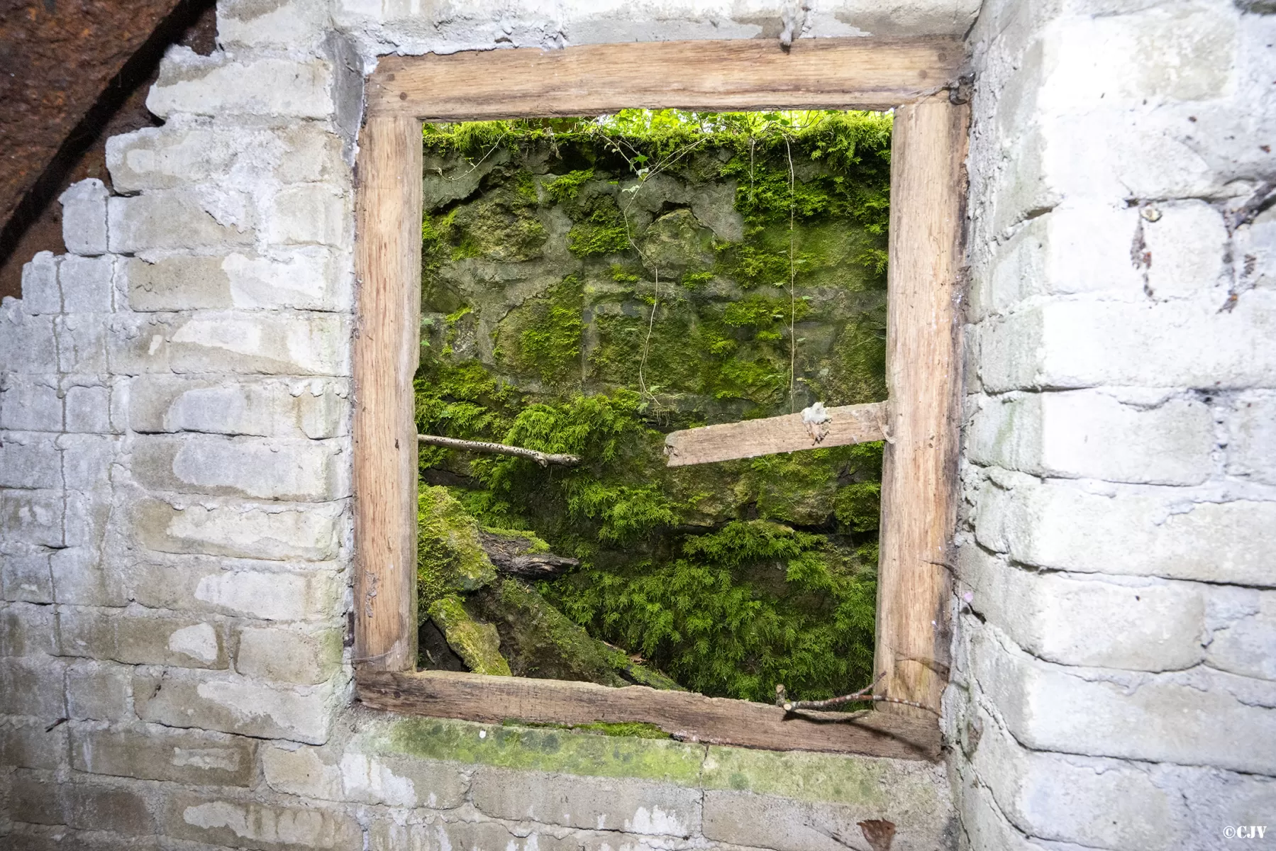 Ligne Maginot - BOIS DE MEDERCHEN (I/160° RIF) - (PC de Quartier) -  - Lia VERMEULEN