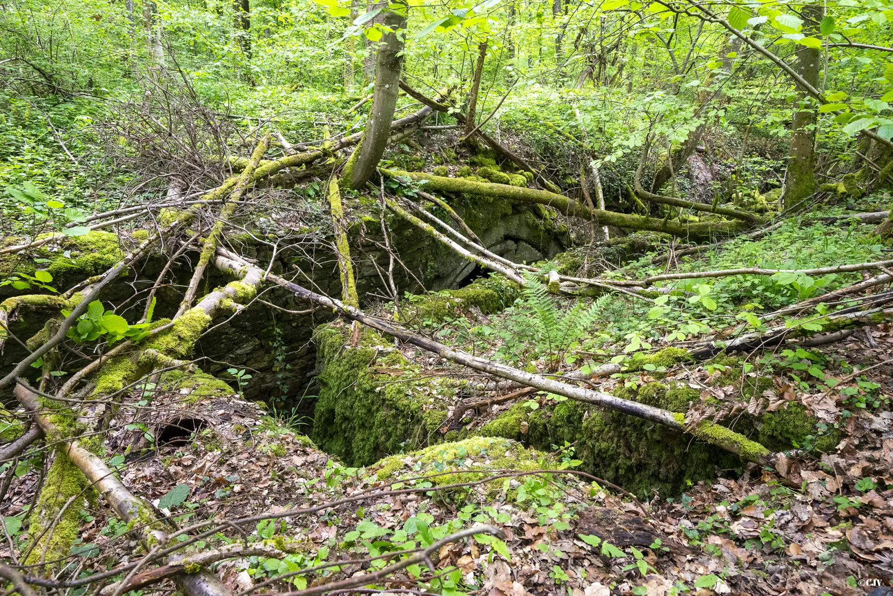 Ligne Maginot - BOIS DE MEDERCHEN (I/160° RIF) - (PC de Quartier) - Un des trois escaliers - Lia VERMEULEN