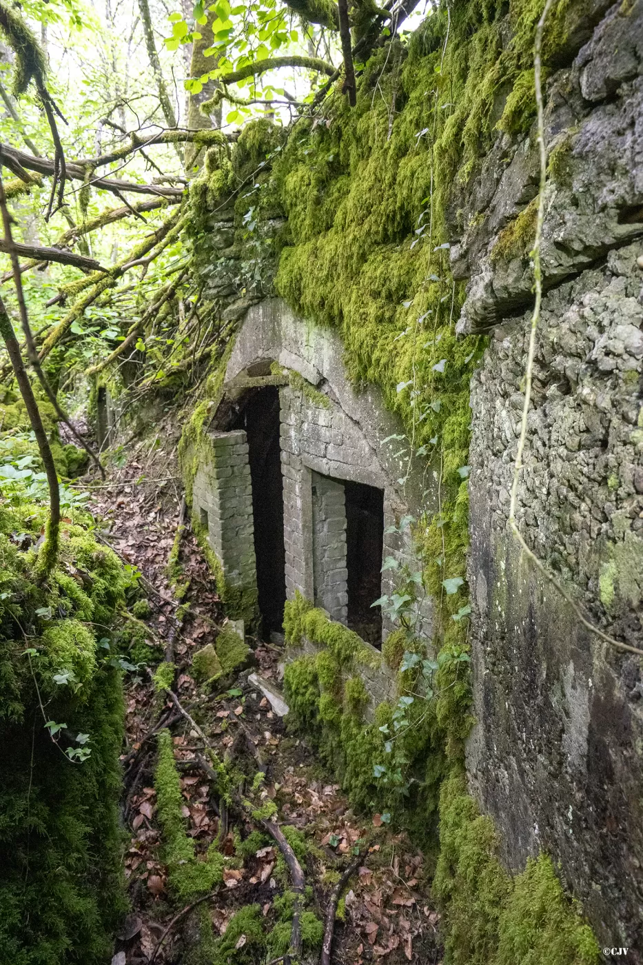 Ligne Maginot - BOIS DE MEDERCHEN (I/160° RIF) - (PC de Quartier) -  - Lia VERMEULEN