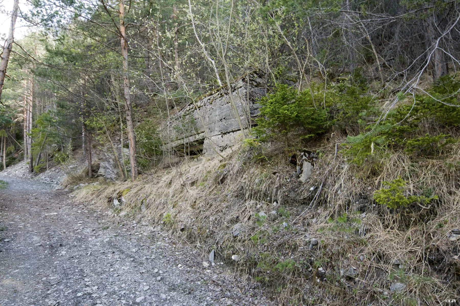 Ligne Maginot - PONT DU NANT - (Blockhaus pour arme infanterie) -  - Caspar Vermeulen