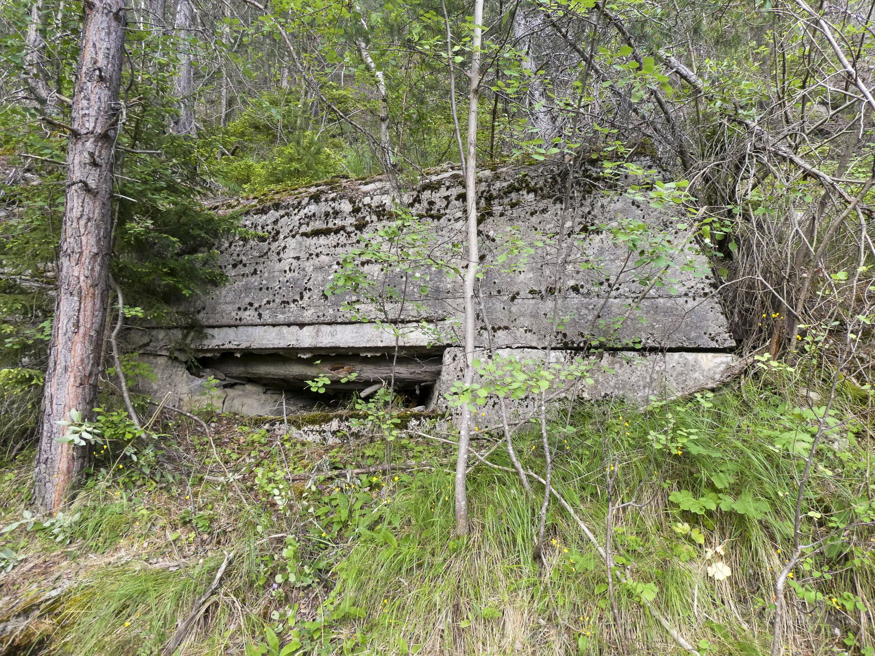 Ligne Maginot - PONT DU NANT - (Blockhaus pour arme infanterie) -  - ELLENA - CUNY