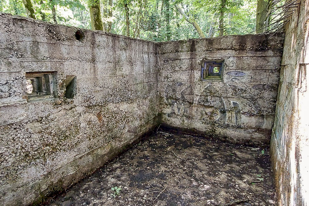 Ligne Maginot - CB260 - STRESSLING 1 - (Blockhaus pour arme infanterie) -  - Serge Teiten