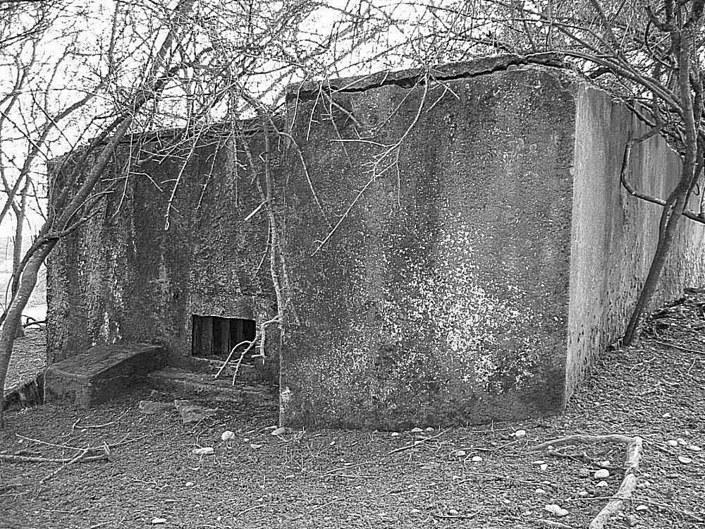 Ligne Maginot - BROMMELSBERG SUD - (Blockhaus pour arme infanterie) -  - Sylvie-Laure LAMBERT