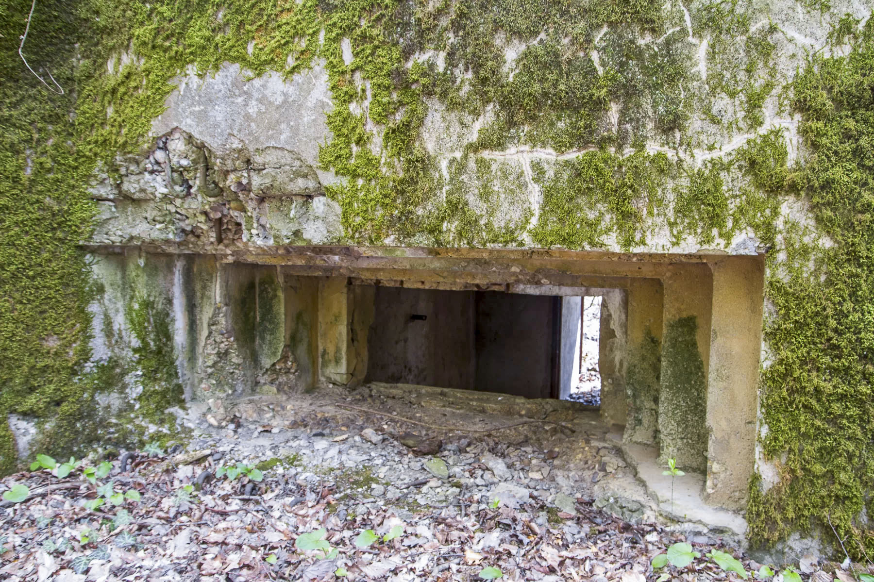 Ligne Maginot - CB303 - KANFENER BUSCH 3 - (Blockhaus pour canon) -  - Michel Teiten