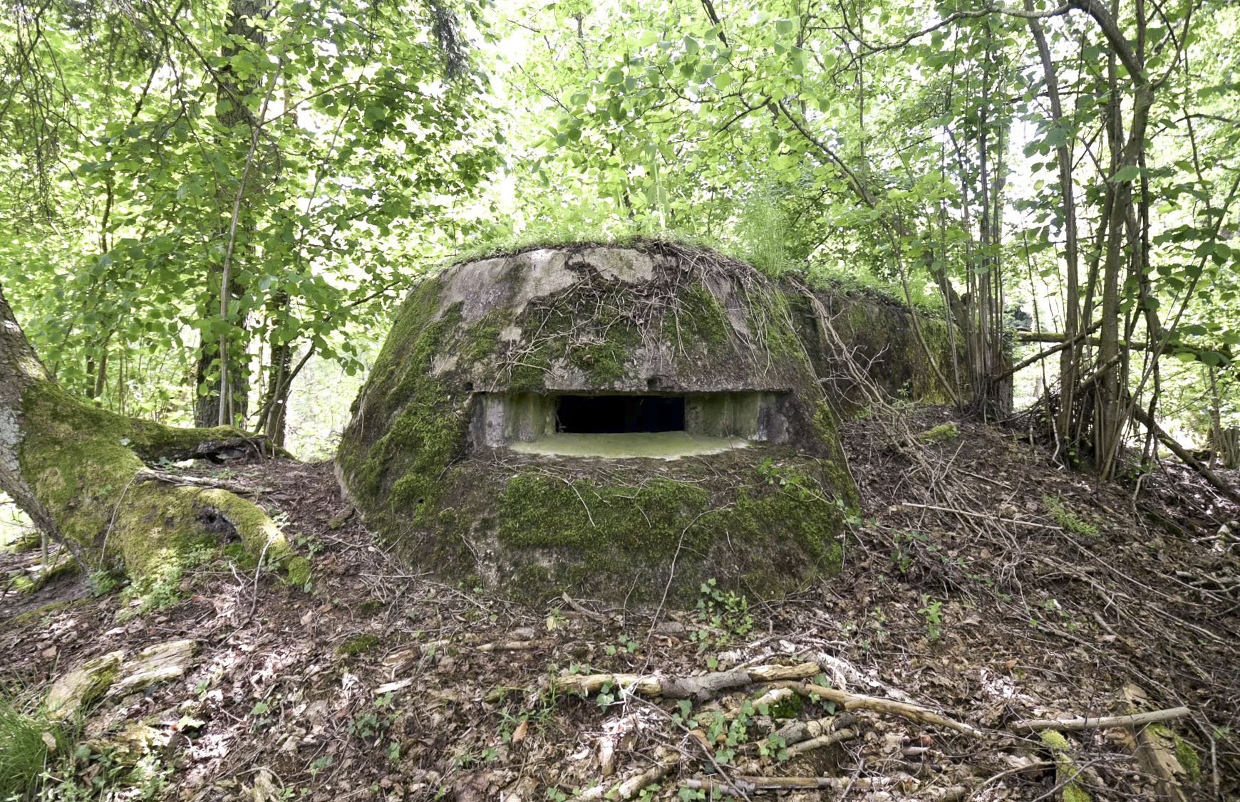 Ligne Maginot - BIBLISHEIM 2 - (Blockhaus pour arme infanterie) -  - Ludovic KNAPP