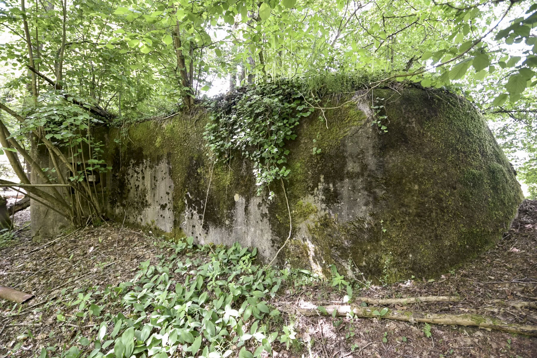 Ligne Maginot - BIBLISHEIM 2 - (Blockhaus pour arme infanterie) -  - Ludovic KNAPP