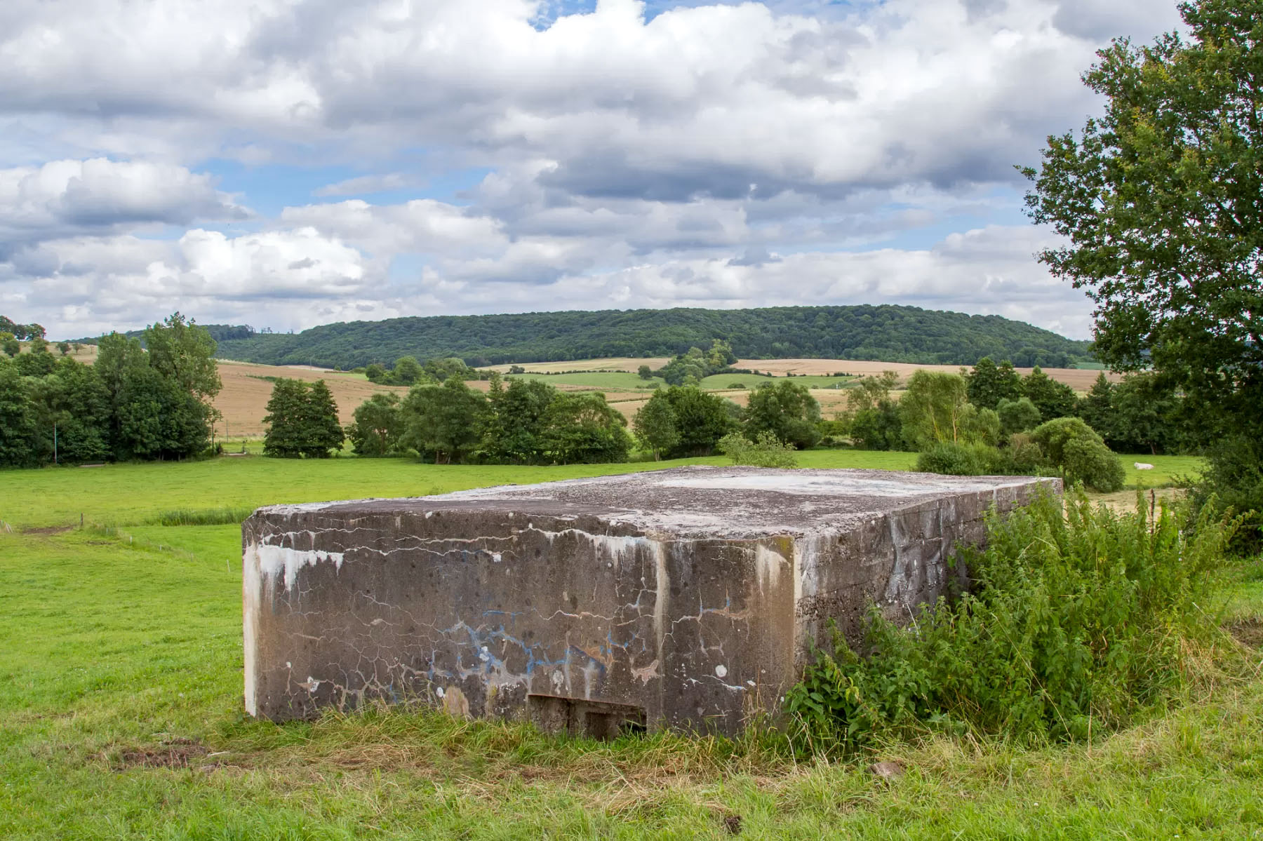 Ligne Maginot - CB611 - MOULIN BAS EST - (Blockhaus pour arme infanterie) -  - Michel Teiten