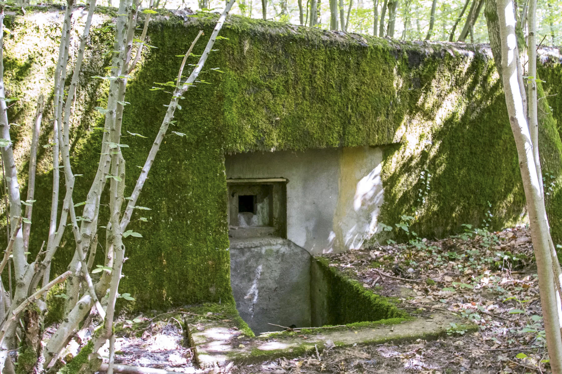 Ligne Maginot - CB444 - RIPPERT - (Poste de Secours) - Entrée de gauche - Michel Teiten