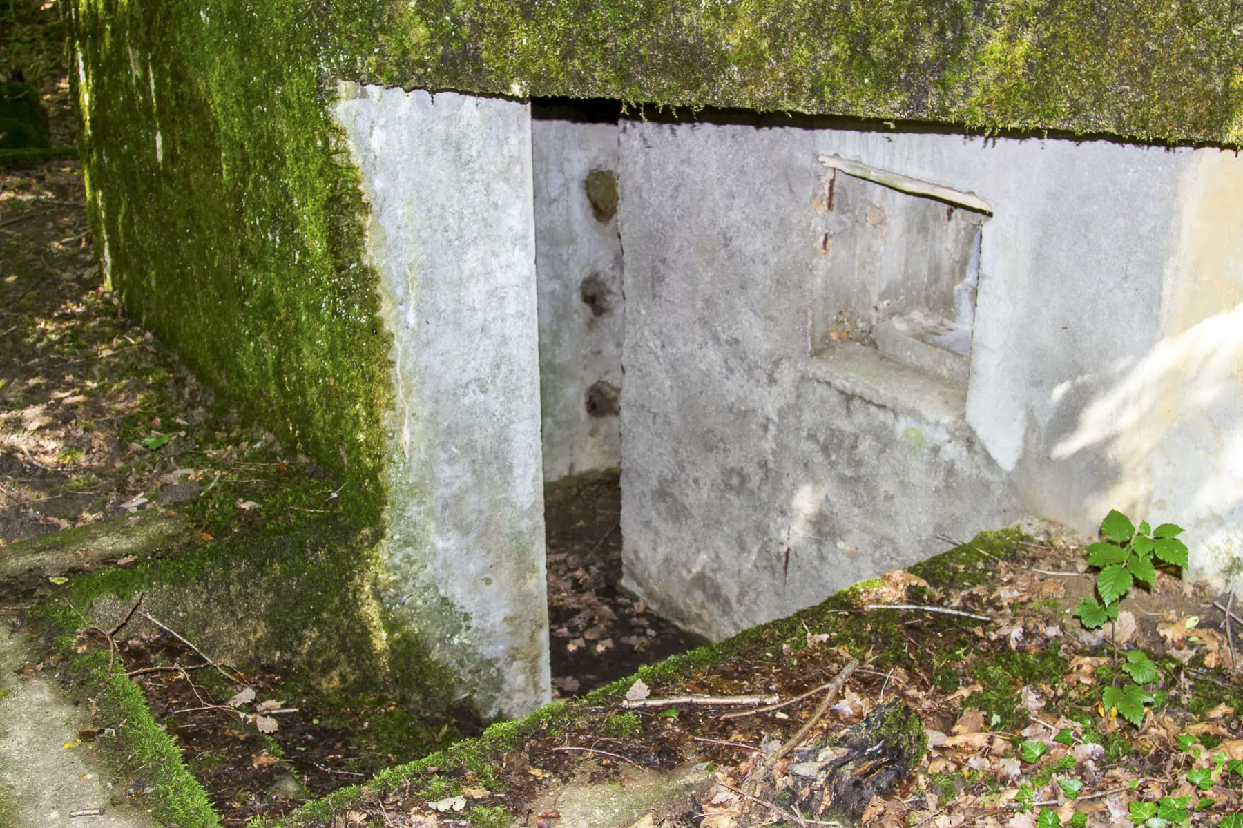 Ligne Maginot - CB444 - RIPPERT - (Poste de Secours) - Entrée de gauche - Michel Teiten