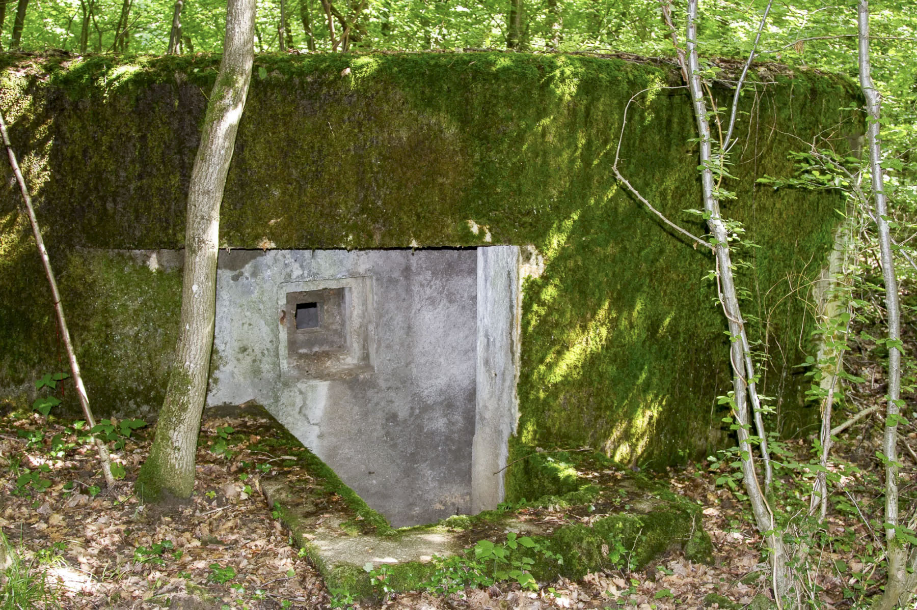 Ligne Maginot - CB444 - RIPPERT - (Poste de Secours) - Entrée de droite - Michel Teiten