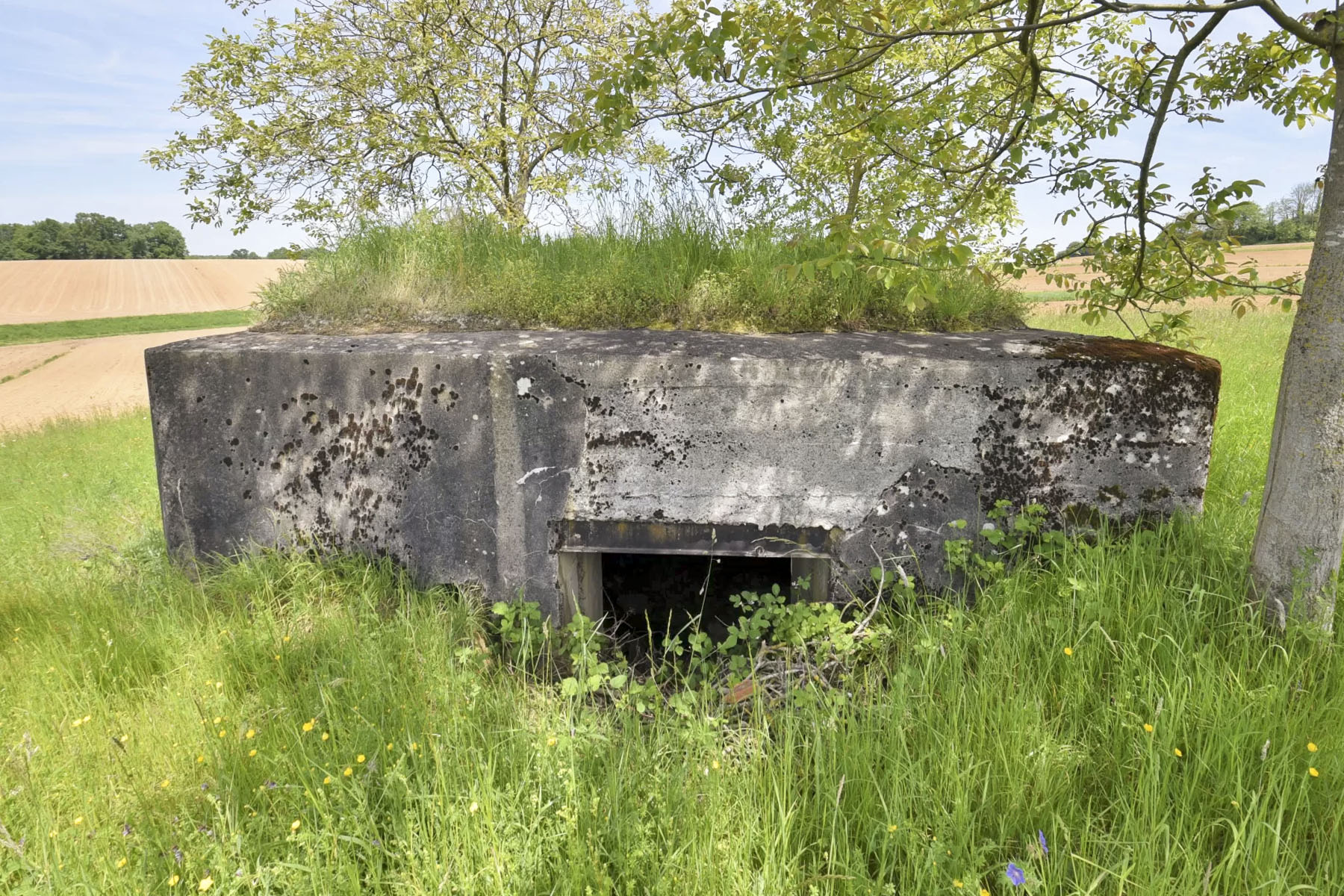 Ligne Maginot - HECKENMUEHLE EST - (Blockhaus pour canon) - Entrée canon - Ludovic KNAPP