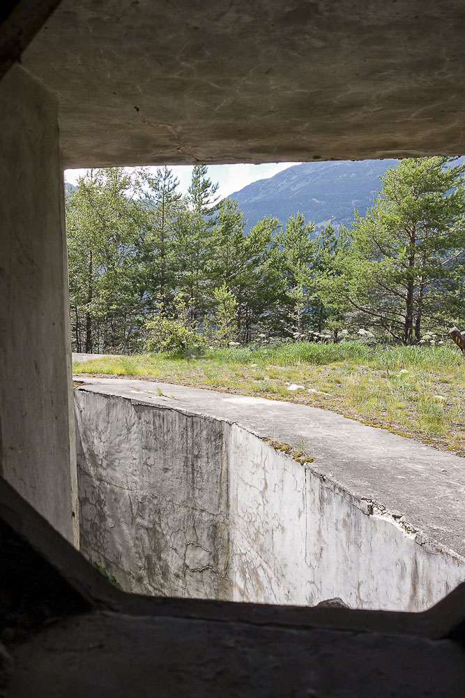 Ligne Maginot - SAINT ANTOINE - (Ouvrage d'artillerie) - Bloc 1
Etage supérieur
Vue depuis le créneau FM de défense rapprochée - Michel Teiten