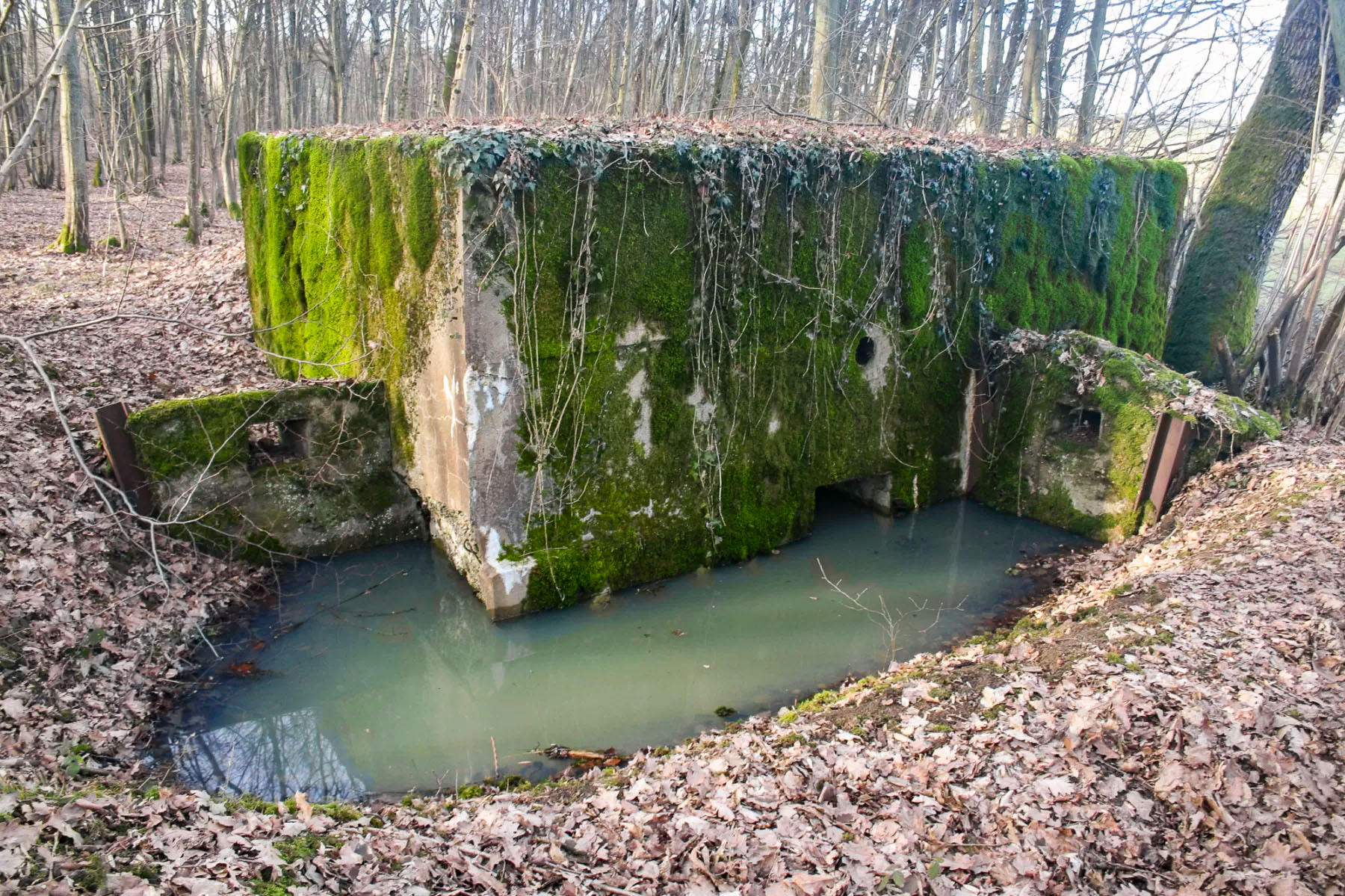 Ligne Maginot - CB298 - KUHDRECK 4 - (Blockhaus pour arme infanterie) -  - Michel Teiten