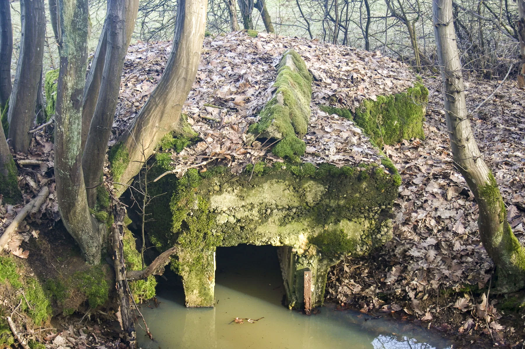 Ligne Maginot - KUHDRECK 5 - (Blockhaus pour arme infanterie) -  - Michel Teiten