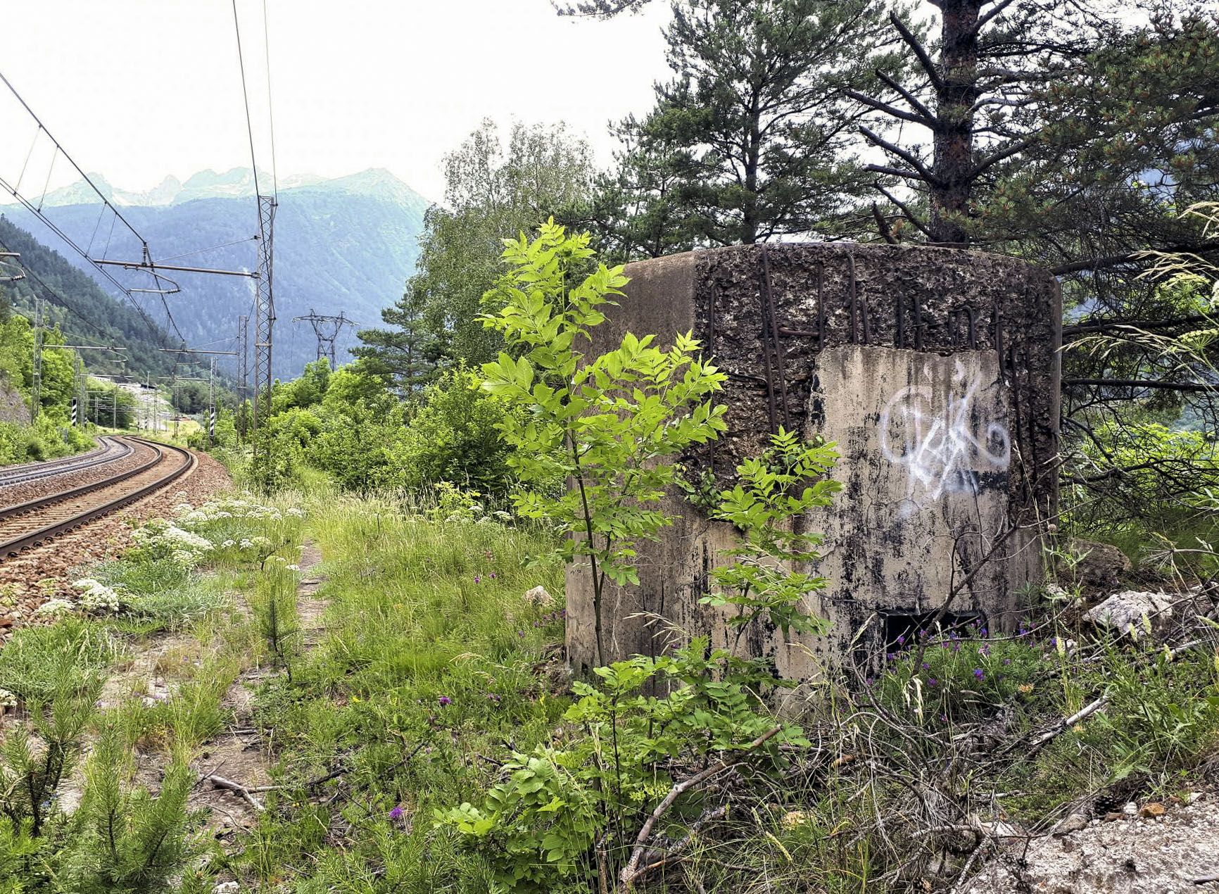 Ligne Maginot - SAINT ANTOINE 3 - (Blockhaus pour arme infanterie) - L'entrée réduite à l'arrière - Gregory Fuchs