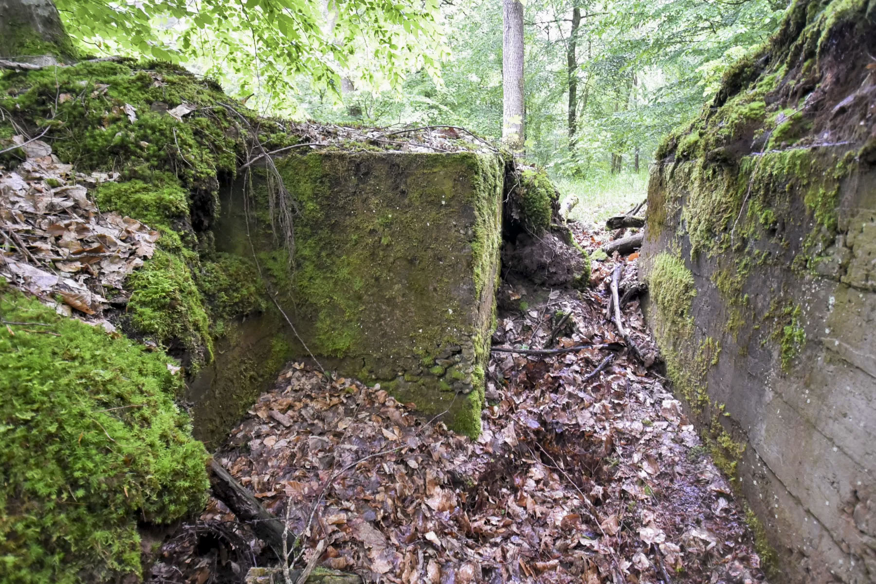 Ligne Maginot - DACHSECK 2 - (Cuve pour arme d'infanterie) -  - Ludovic KNAPP