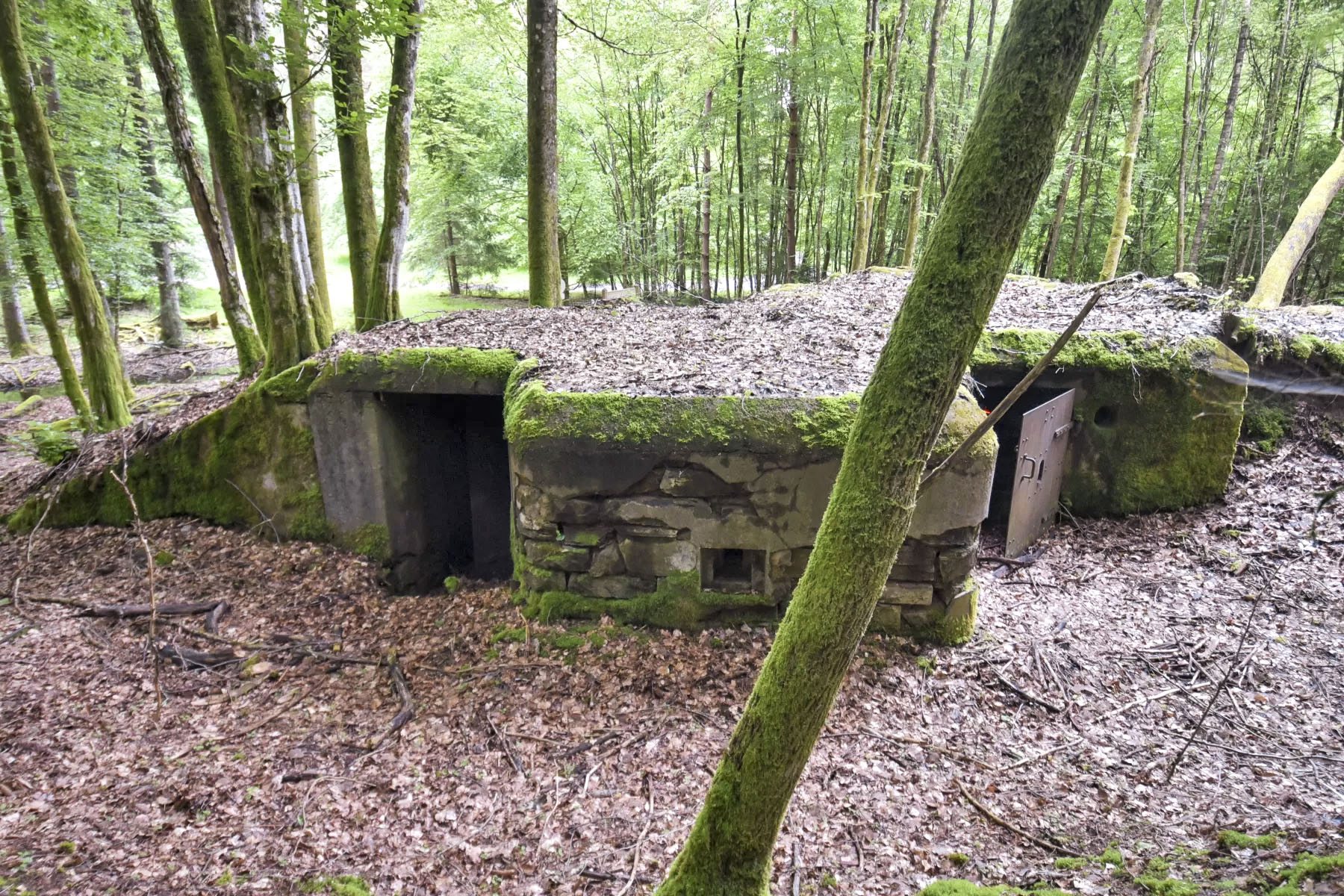 Ligne Maginot - DACHSECK 1 - (Blockhaus pour canon) - Les deux entrées et la caponnière   - Ludovic KNAPP