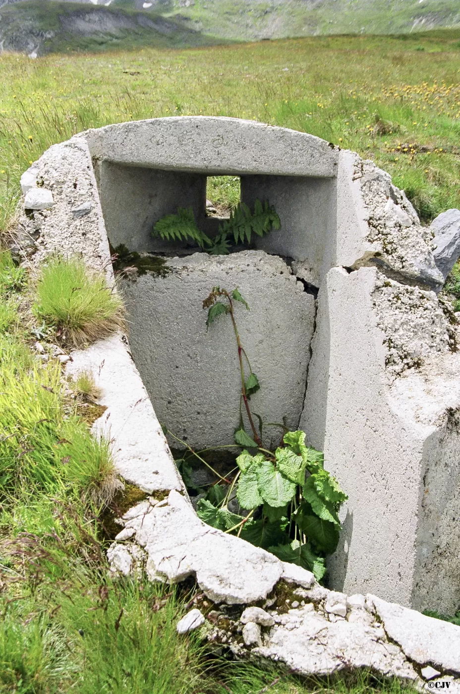 Ligne Maginot - VALLEE ETROITE - (Ouvrage d'infanterie) - Guerite de défense sur les dessus - Lia VERMEULEN