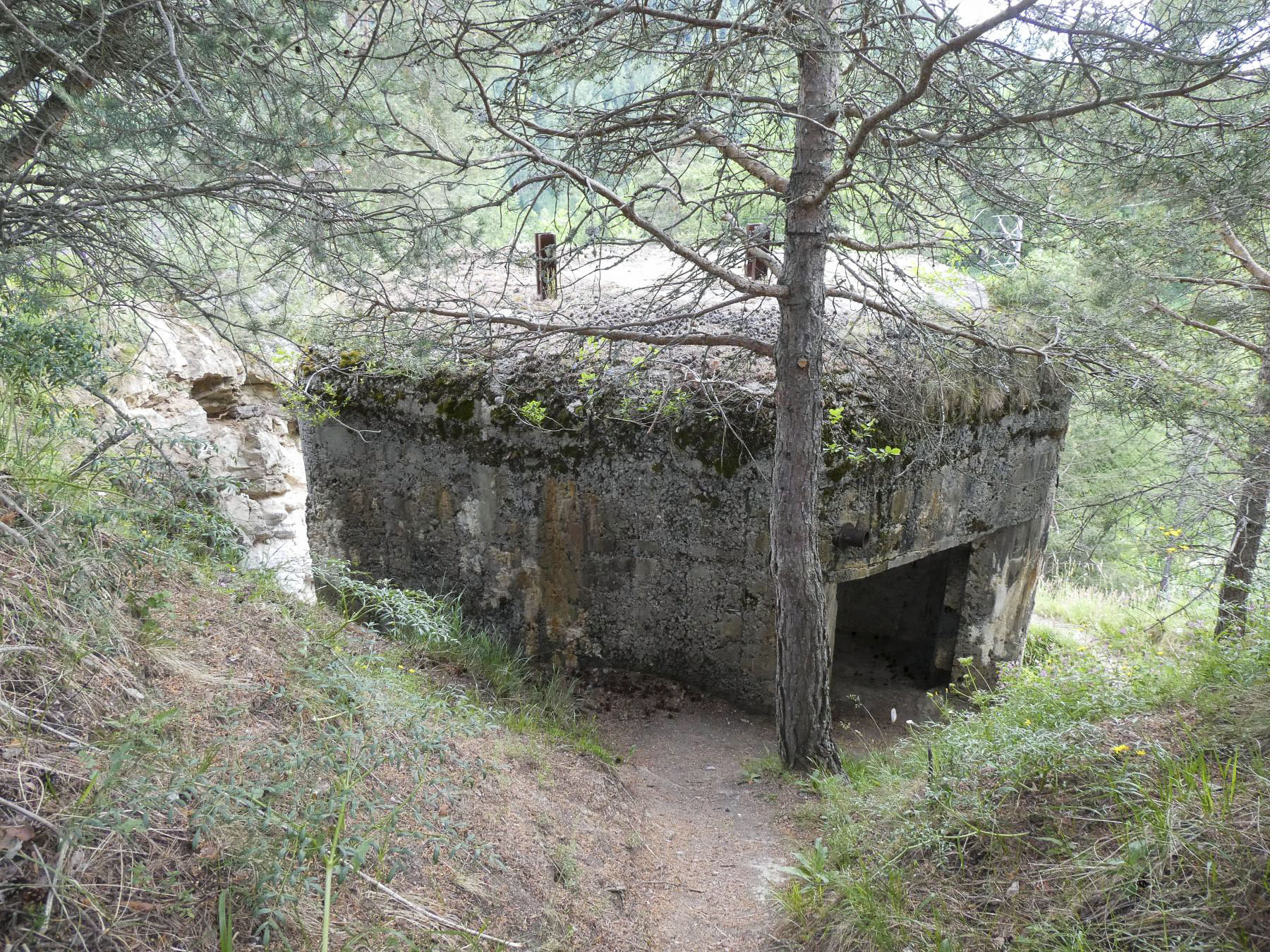 Ligne Maginot - COL DES TROIS CROIX SUPéRIEUR - (Blockhaus pour arme infanterie) -  - ELLENA - CUNY