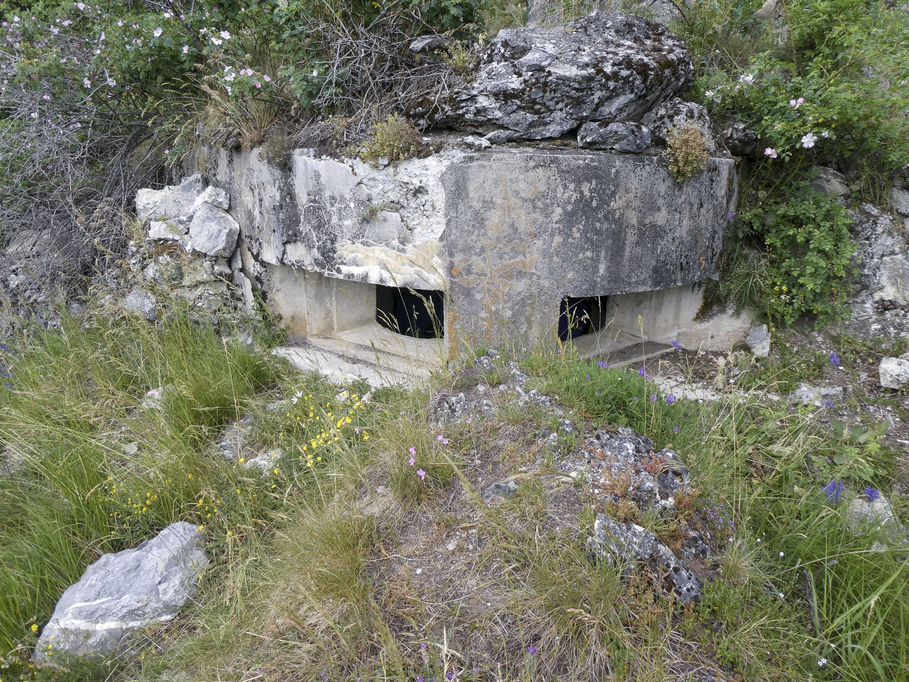 Ligne Maginot - COL DES TROIS CROIX SUPéRIEUR 2 - (Blockhaus pour arme infanterie) -  - ELLENA - CUNY