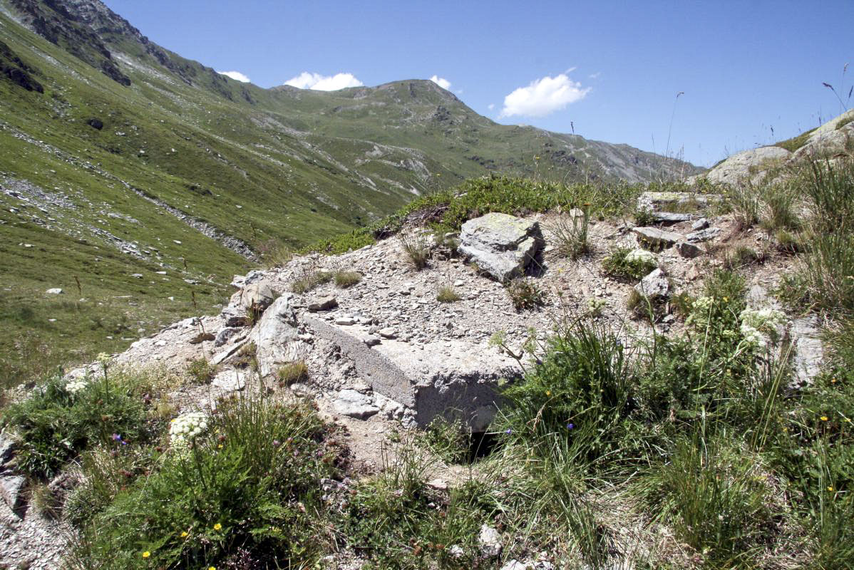Ligne Maginot - NOTRE-DAME DES NEIGES 5 - (Blockhaus pour arme infanterie) -  - Alain Perouffe