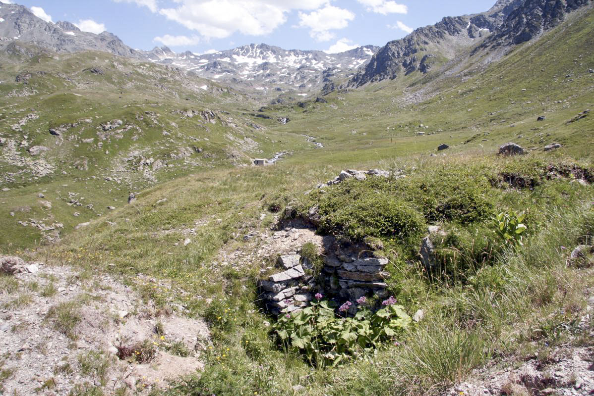 Ligne Maginot - NOTRE-DAME DES NEIGES 4 - (Blockhaus pour arme infanterie) -  - Alain Perouffe