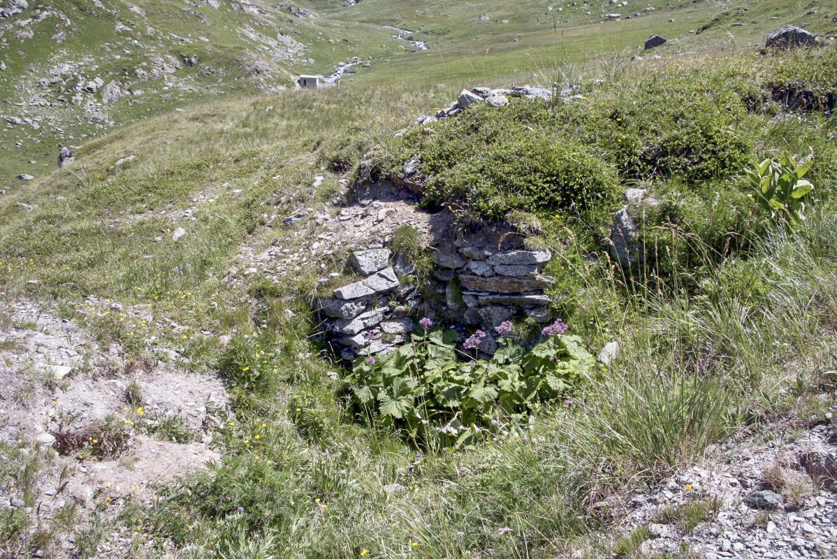 Ligne Maginot - NOTRE-DAME DES NEIGES 4 - (Blockhaus pour arme infanterie) -  - Alain Perouffe