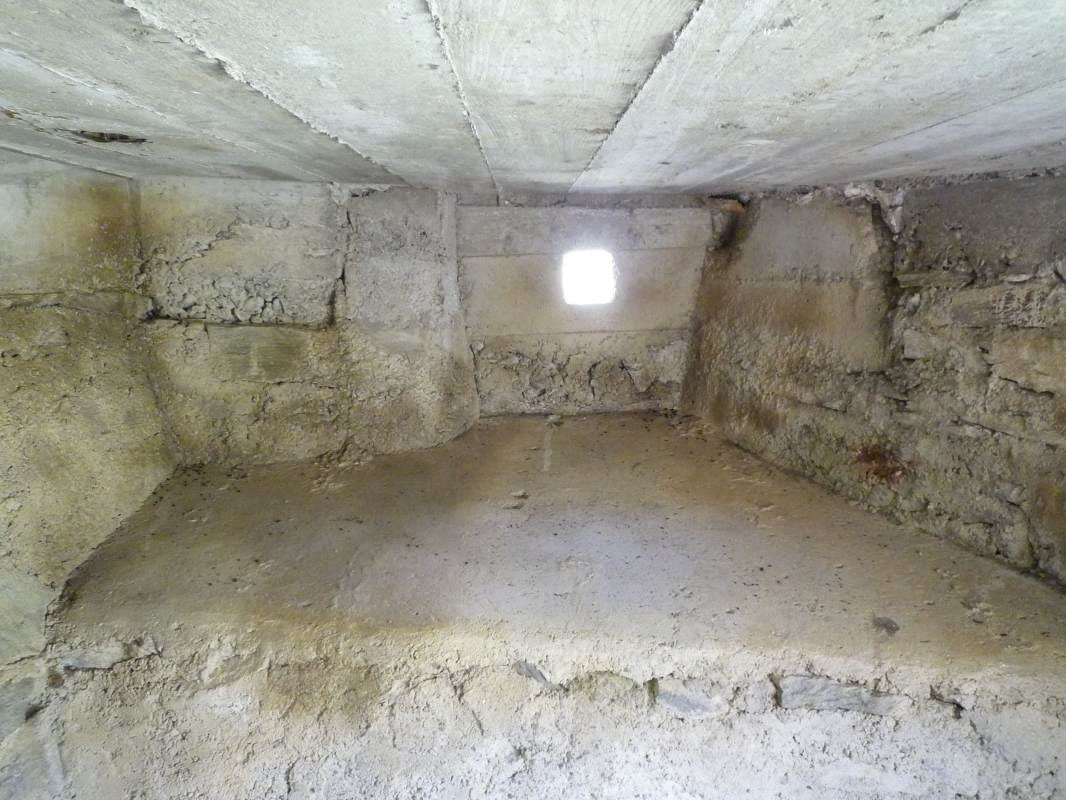 Ligne Maginot - NOTRE-DAME DES NEIGES 3 - (Blockhaus pour arme infanterie) -  - Alain Perouffe