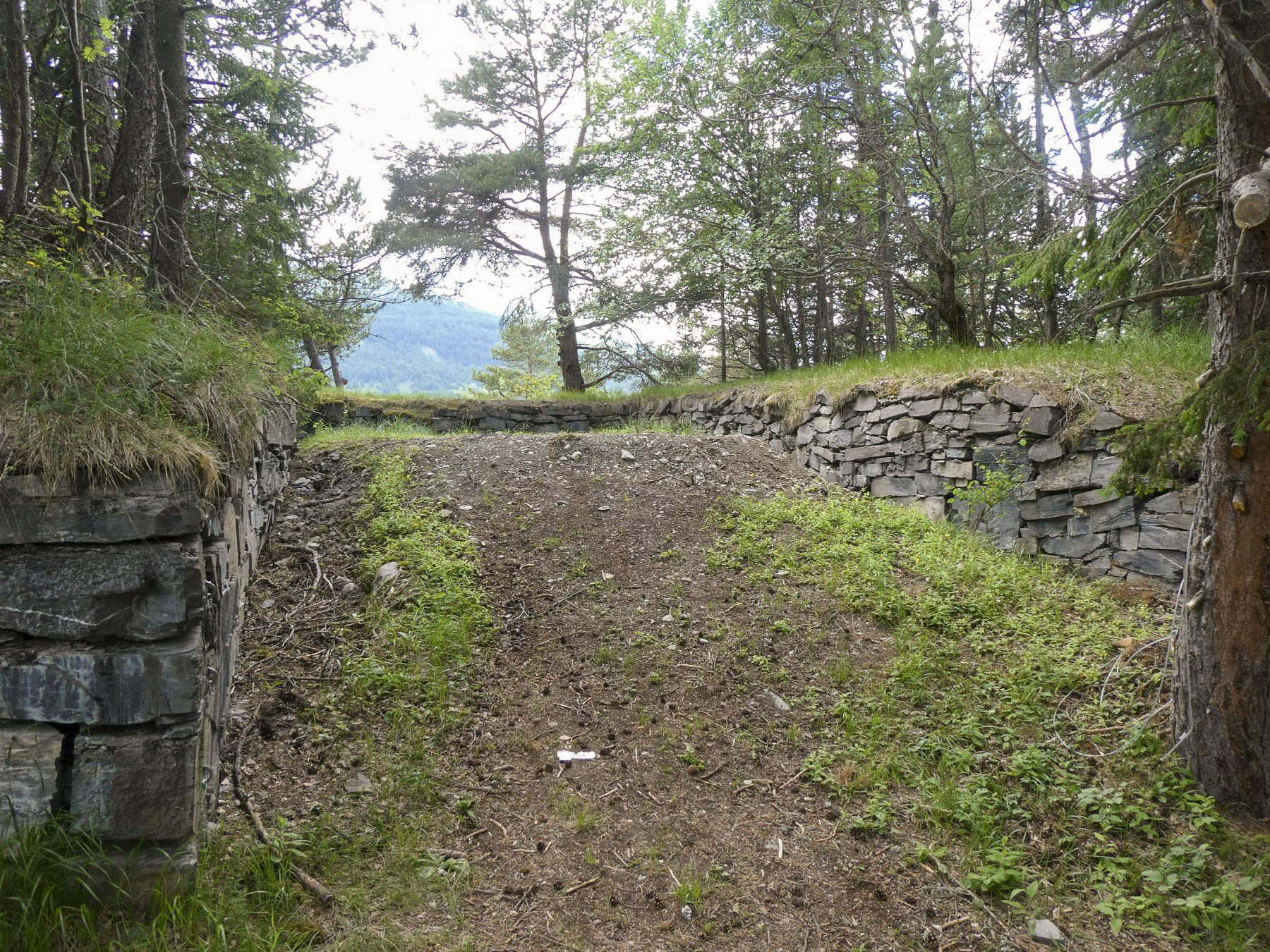 Ligne Maginot - TELEGRAPHE SUD - (Position d'artillerie préparée) -  - ELLENA - CUNY