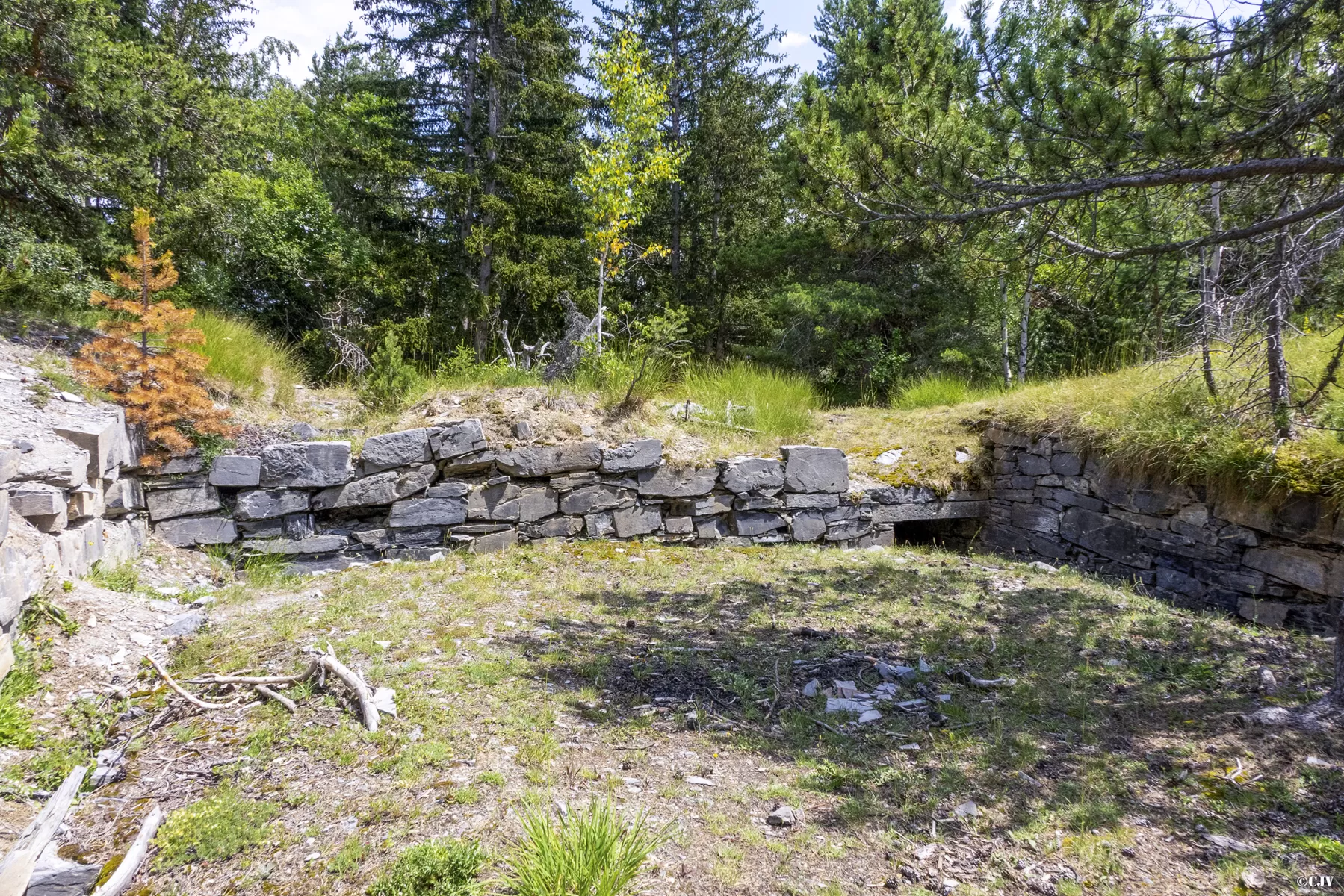 Ligne Maginot - TELEGRAPHE SUD - (Position d'artillerie préparée) - L'une des positions le long de la route du fort - Lia VERMEULEN