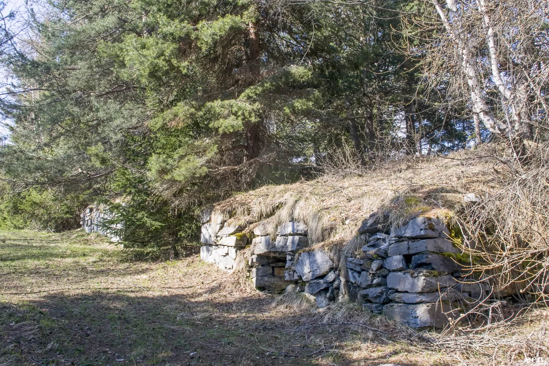 Ligne Maginot - TELEGRAPHE SUD - (Position d'artillerie préparée) -  - Lia VERMEULEN
