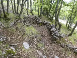 Ligne Maginot - MONT OURS EST - (Abri) - Environnement
