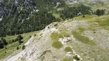 Ligne Maginot - COL DE GRANON - (Ouvrage d'infanterie) - Environnement: position d'infanterie