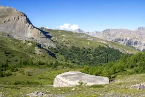 Ligne Maginot - COL DE GRANON - (Ouvrage d'infanterie) - Bloc 3
Vue de dessus
On voit sur la crête à l'horizon le Fort de Lenlon