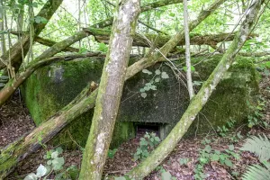 Ligne Maginot - NEUWEIHER 2 - (Blockhaus pour arme infanterie) - Créneau mitrailleuse