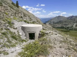 Ligne Maginot - JANUS SUD 1 - (Blockhaus pour arme infanterie) - 
