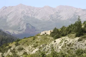 Ligne Maginot - SAINT OURS HAUT (SOH) - (Ouvrage d'artillerie) - Bloc 5.
Vu du chemin de Mallemort. La cloche GFM, en haut du bloc, est cachée par le sapin;