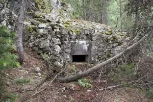 Ligne Maginot - LE CHATEAU - COTE 1655 - (Blockhaus pour arme infanterie) - Vue avant.
Créneau unique