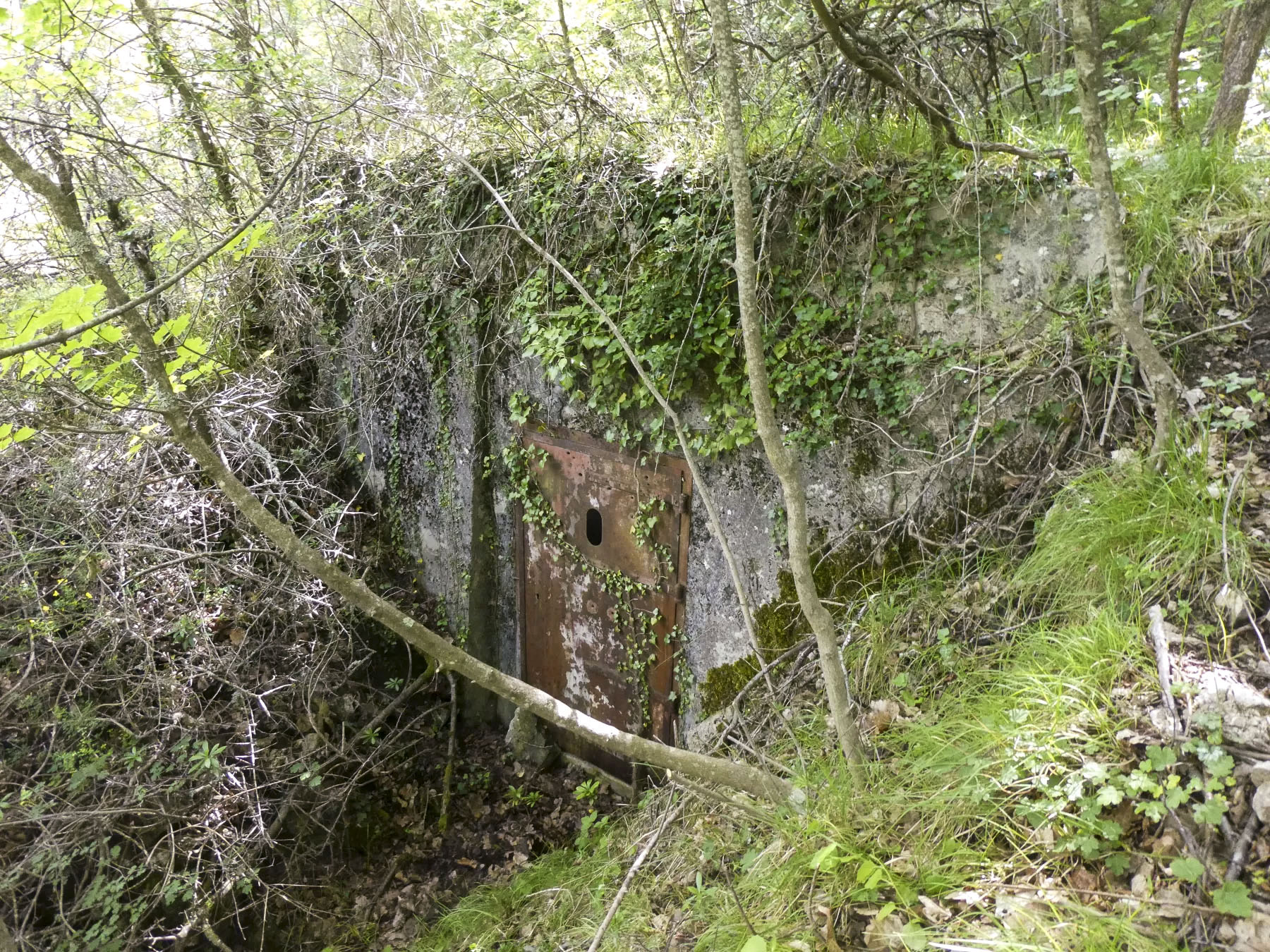 Ligne Maginot - COL DE SEGRA - (Chambre de coupure) -  - ELLENA Daniel - CUNY Philippe