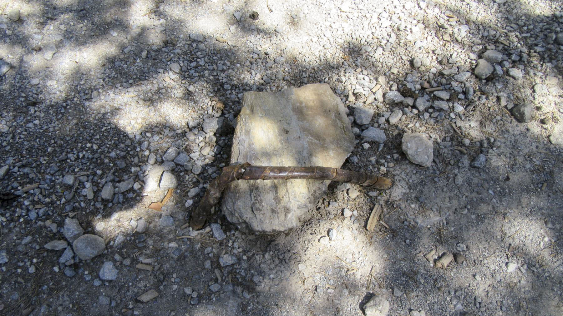Ligne Maginot - FORT DAUPHIN - (Chambre de coupure) - Câble téléphonique sortant de terre sur le chemin vers la chambre de coupure - Jean BERTHIER