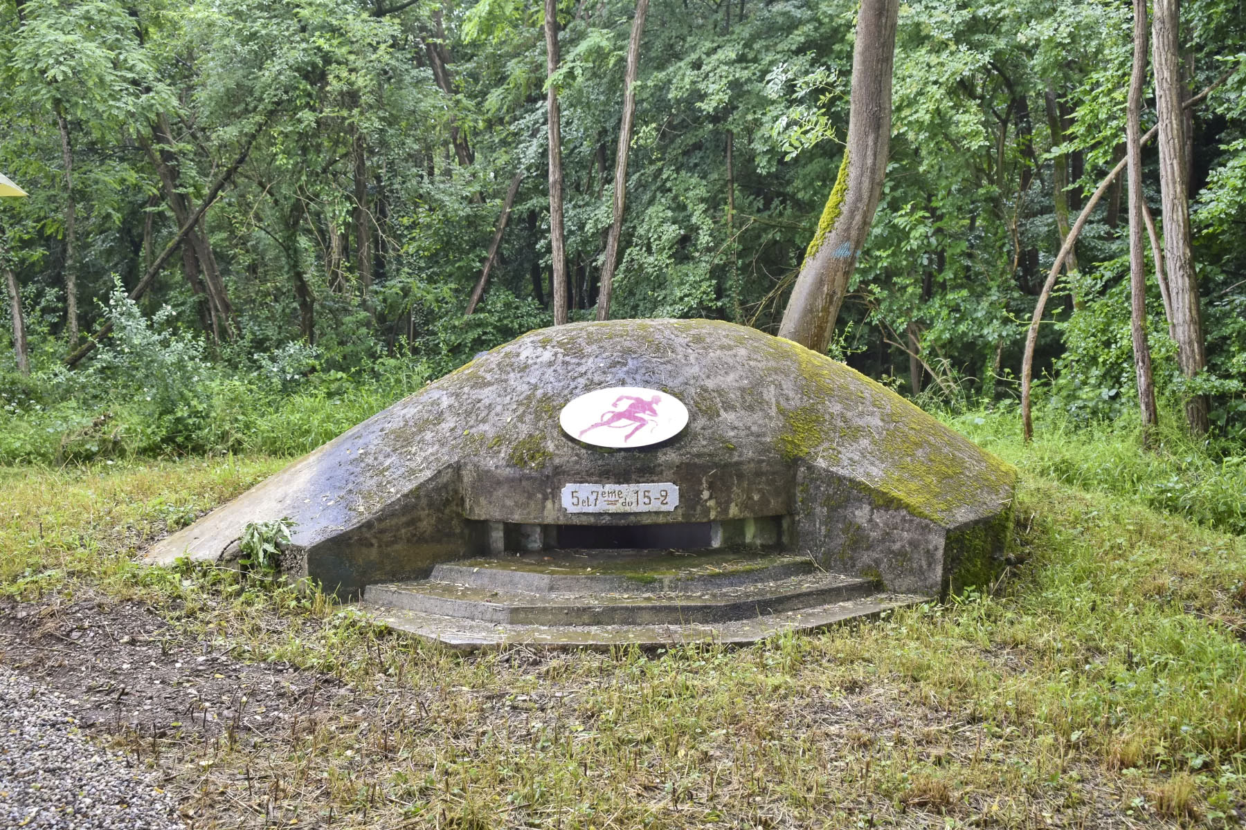 Ligne Maginot - STOECKLE - GOLDGRUBE 1 - (Blockhaus pour arme infanterie) - Le blockhaus nettoyé - Daniel Froehly