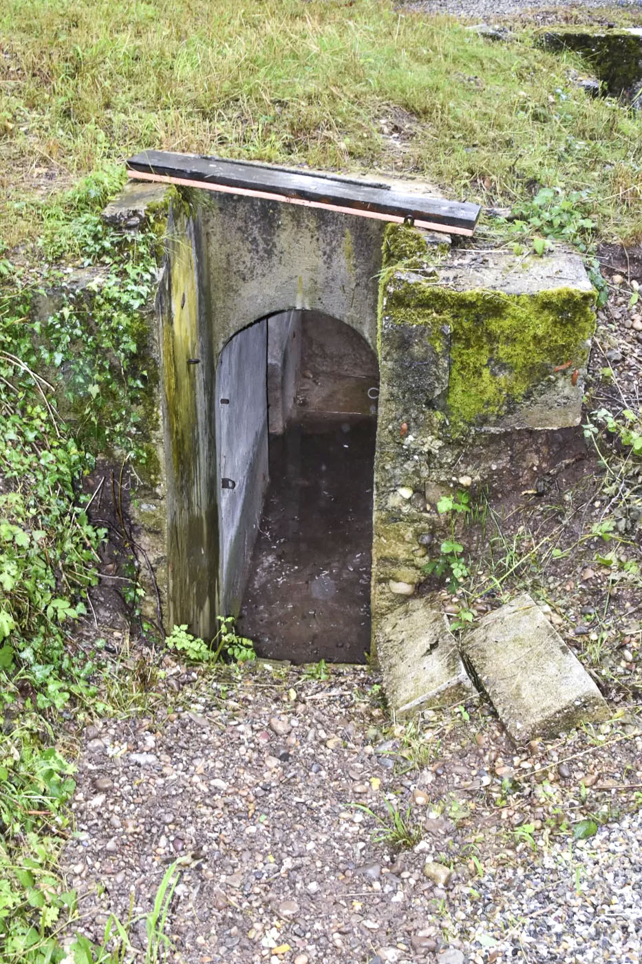 Ligne Maginot - STOECKLE - GOLDGRUBE 1 - (Blockhaus pour arme infanterie) - L'entrée nettoyée - Daniel Froehly