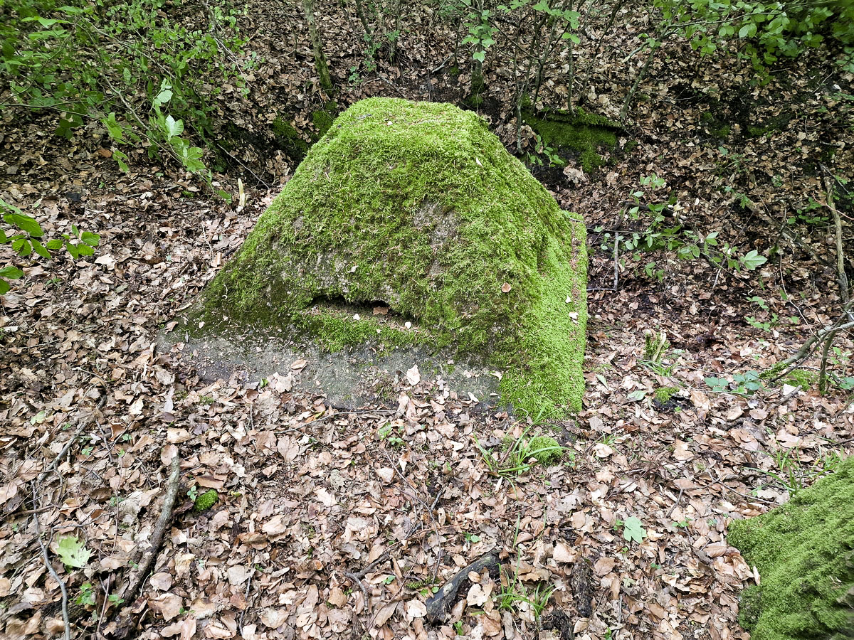 Ligne Maginot - ALTWIESERBACH 6 - (Observatoire indéterminé) - Le premier poste d'observation intact - Franck Niederlender