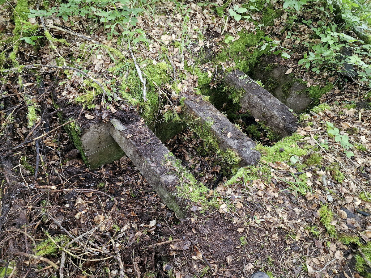 Ligne Maginot - ALTWIESERBACH 6 - (Observatoire indéterminé) - Les restes de la grande niche à munitions au milieu de la tranchée - Franck Niederlender
