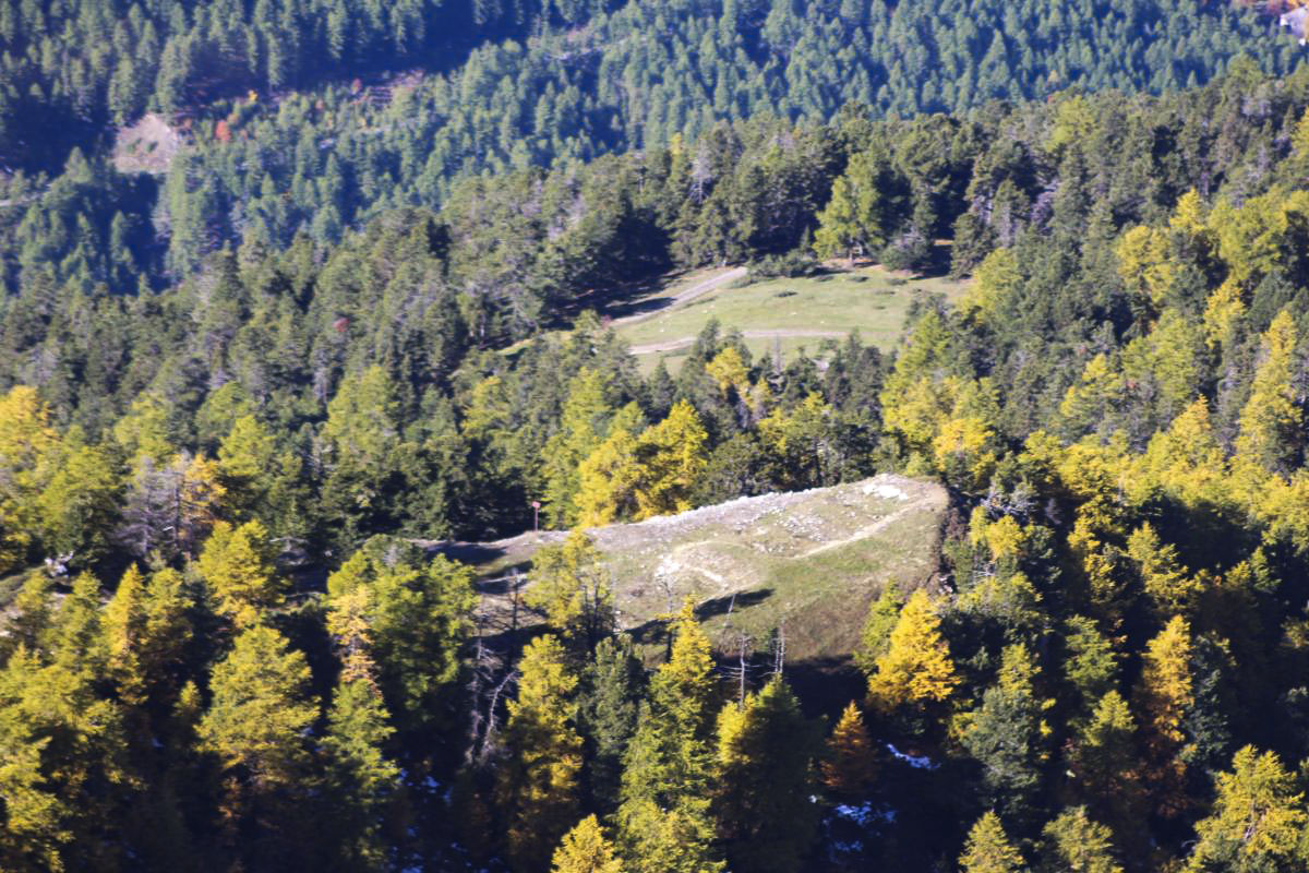 Ligne Maginot - GRANDE MAYE OUEST - (Position d'artillerie préparée) - Les emplacements de la batterie - ELLENA-CUNY