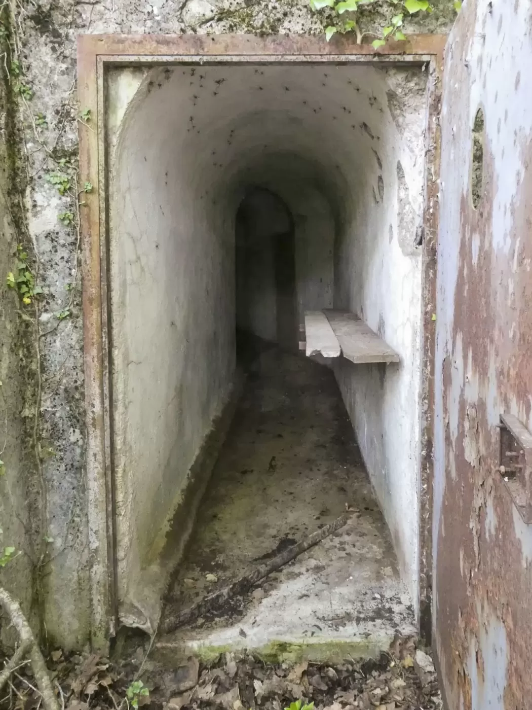 Ligne Maginot - COL DE SEGRA - (Chambre de coupure) -  - ELLENA Daniel - CUNY Philippe