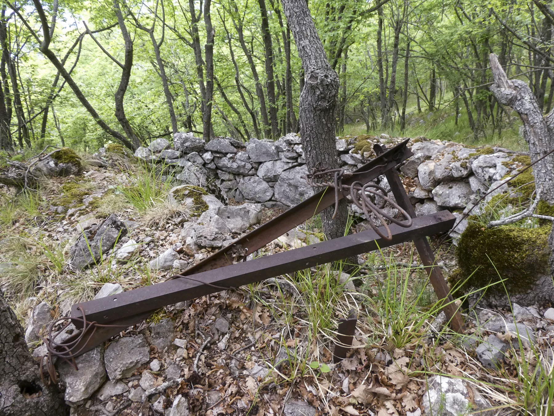 Ligne Maginot - MONT OURS EST - (Abri) - Environnement - ELLENA Daniel - CUNY Philippe