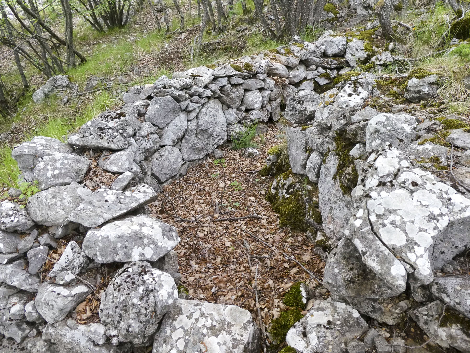 Ligne Maginot - MONT OURS EST - (Abri) - Environnement - ELLENA Daniel - CUNY Philippe