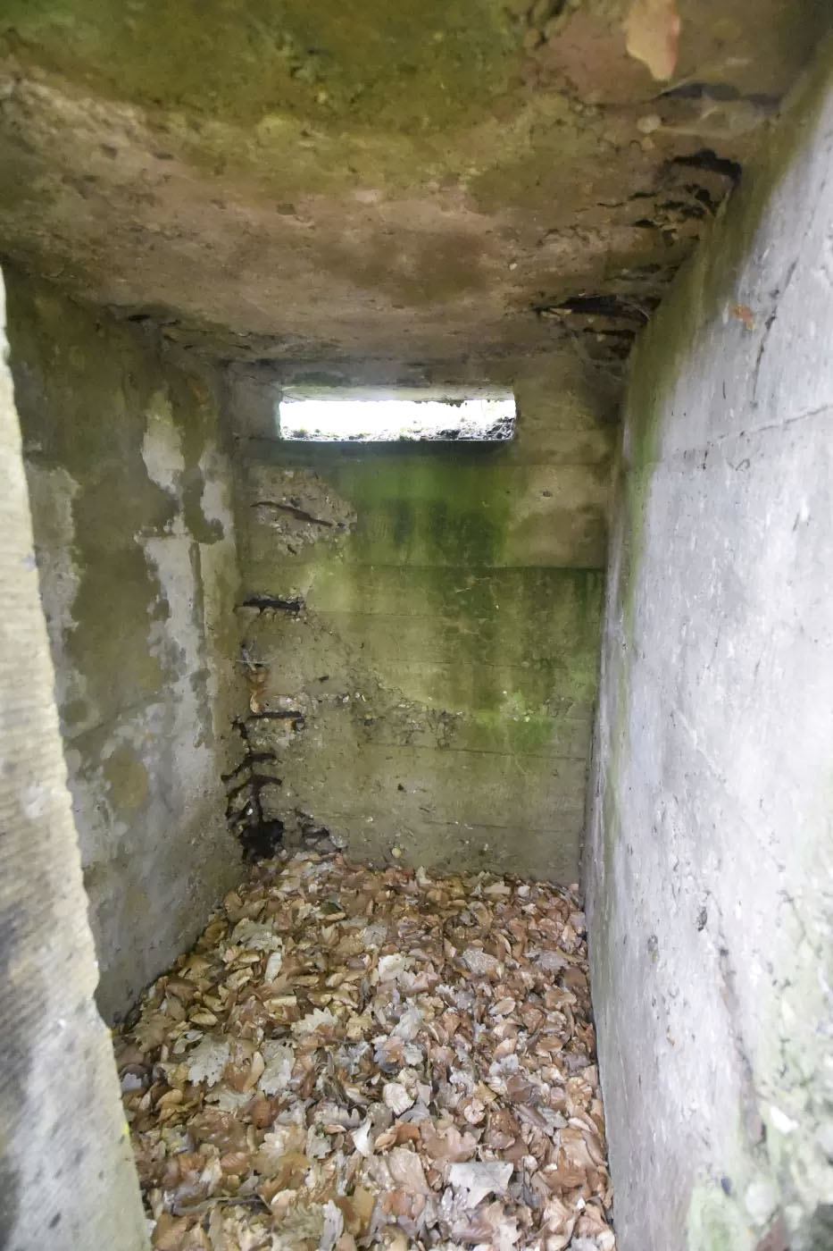 Ligne Maginot - DACHSECK - (Observatoire d'infanterie) -  - Ludovic KNAPP