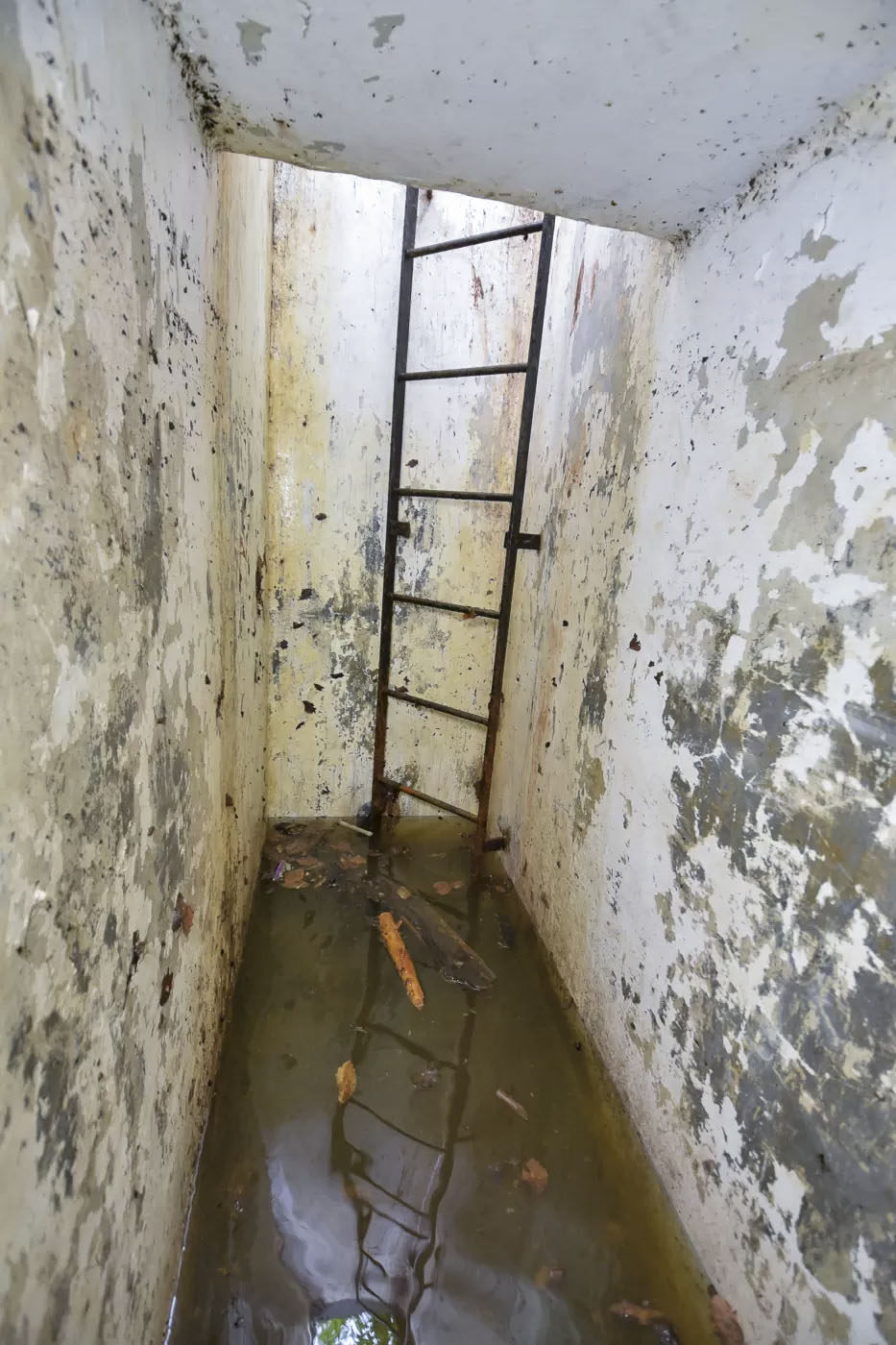 Ligne Maginot - C31 - (Chambre de coupure) -  - Ludovic KNAPP